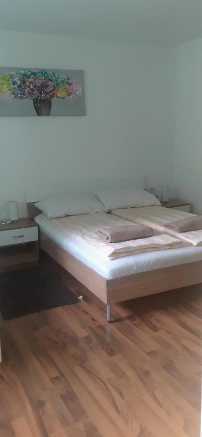 Apartman Sara Vl. Franjo Klasic Krapina Exterior photo
